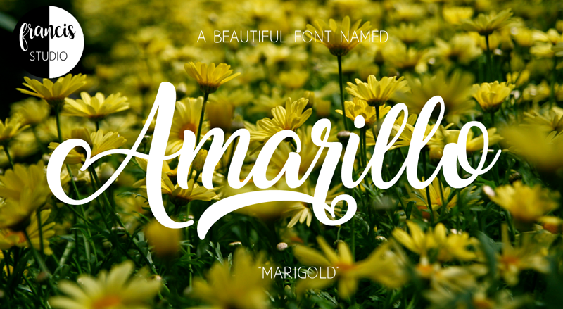 Amarillo Free Font Download