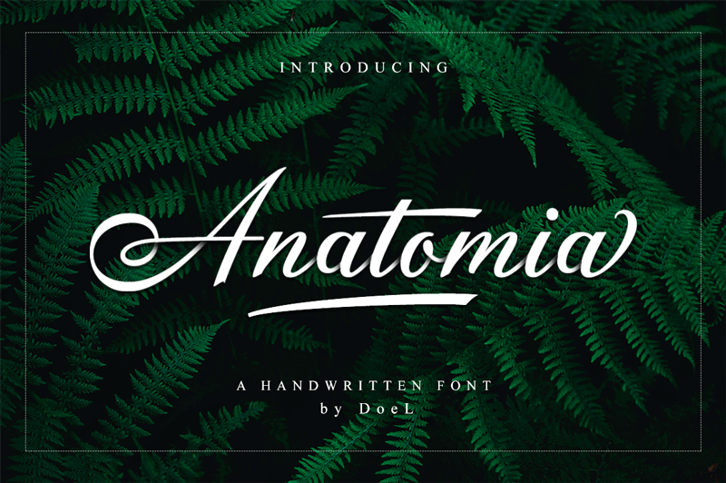 Anatomia Free Font Download