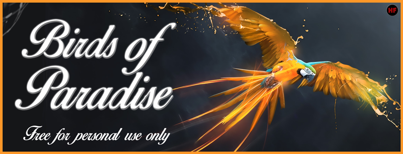 Birds of Paradise Free Font Download